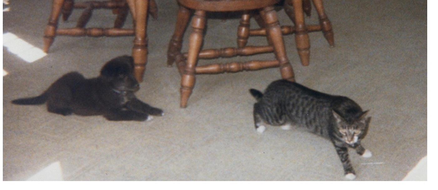Photograph 157